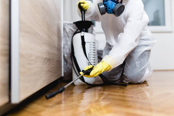 Best Wasp Removal Services  in Belmont, MS