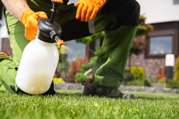 Best Affordable Pest Control Services  in Belmont, MS